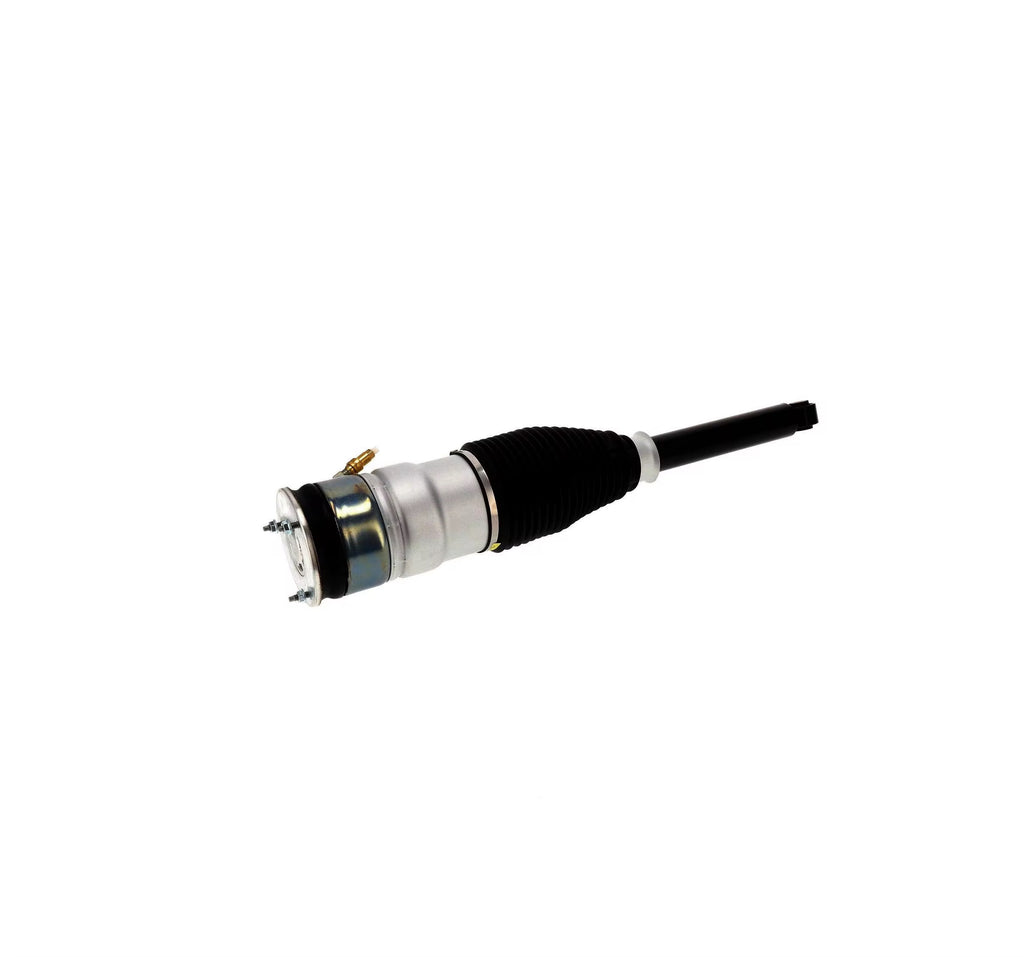 Tesla Model S bakre luftfjærbein 6006352-00-D 6006353-00-D sidevisning 2