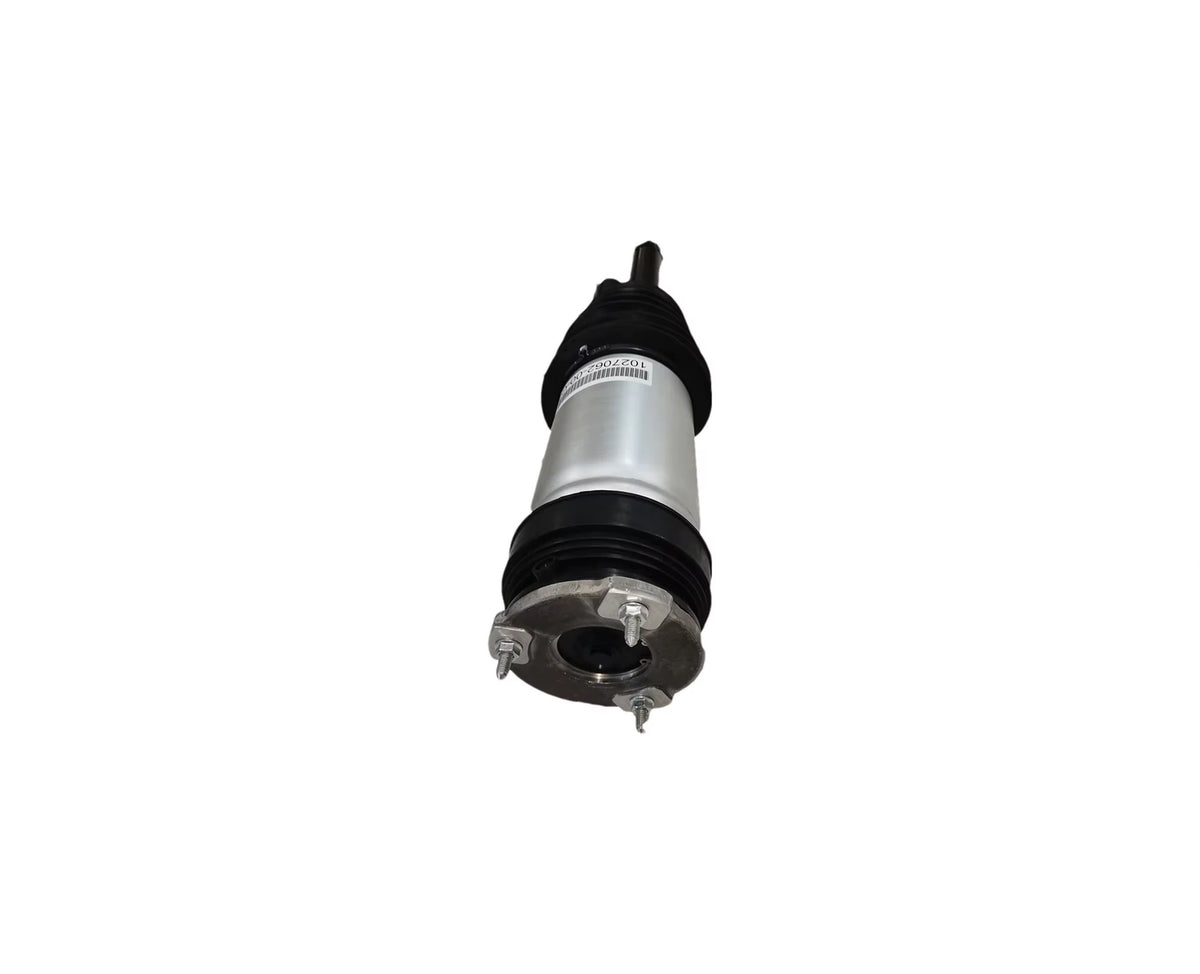 Tesla Model S bakre luftfjærbein 1620461-99-D 1620466-99-D frontvisning