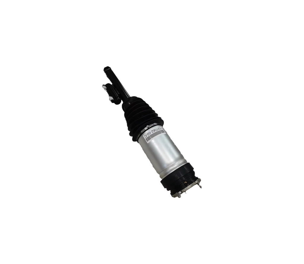 Tesla Model S bakre luftfjærbein 1620461-99-D 1620466-99-D sidevisning